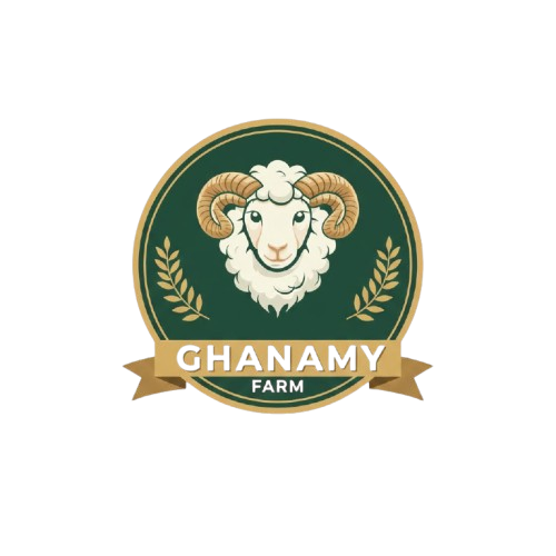 Ghanamy